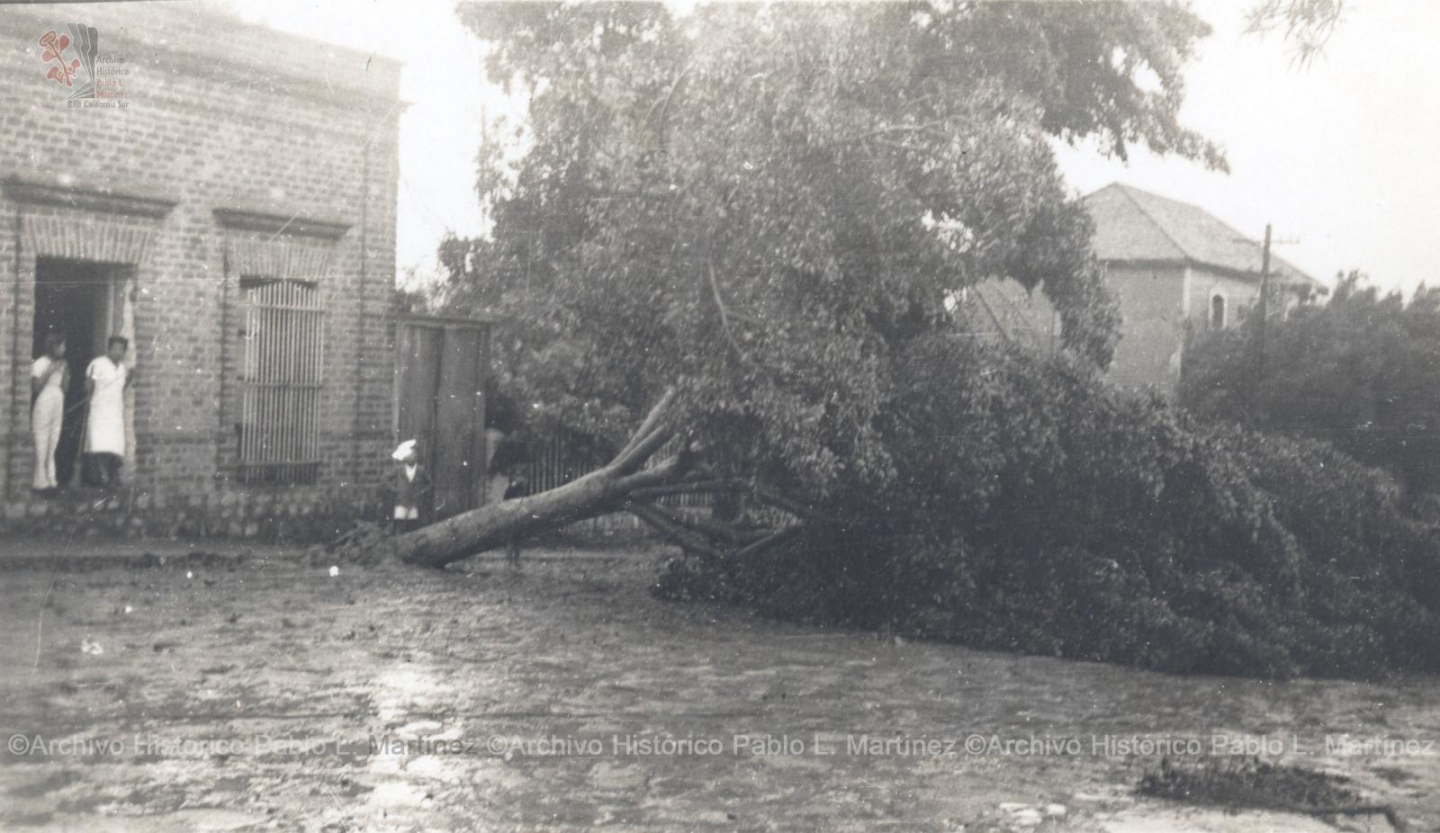 Calle Revolución de 1910 después de un huracán.