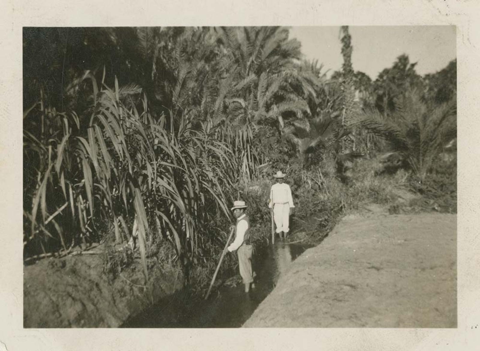 Hombres trabajan y despejan matorrales en acequia.