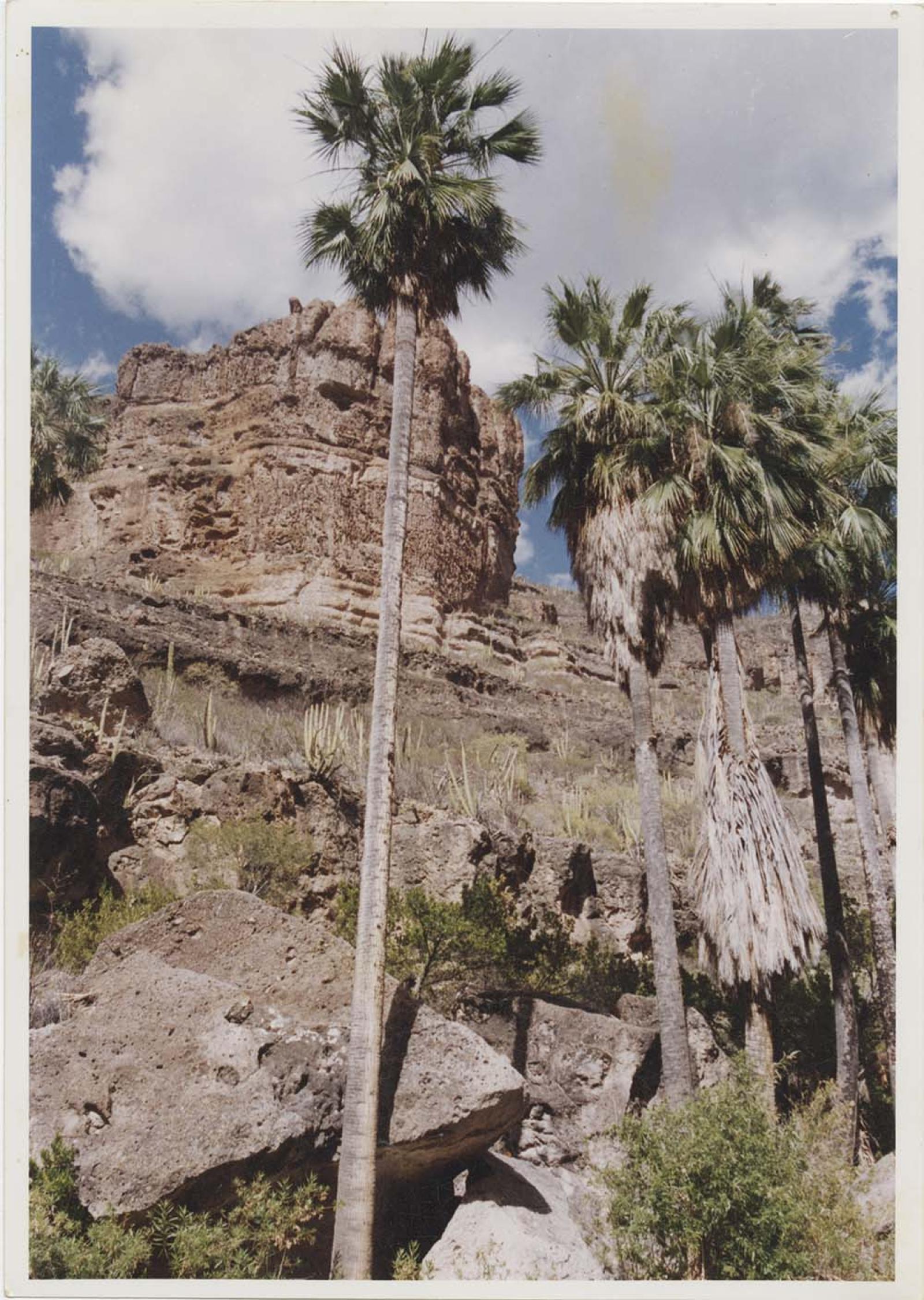 Paisaje de Mulegé, Baja California Sur.