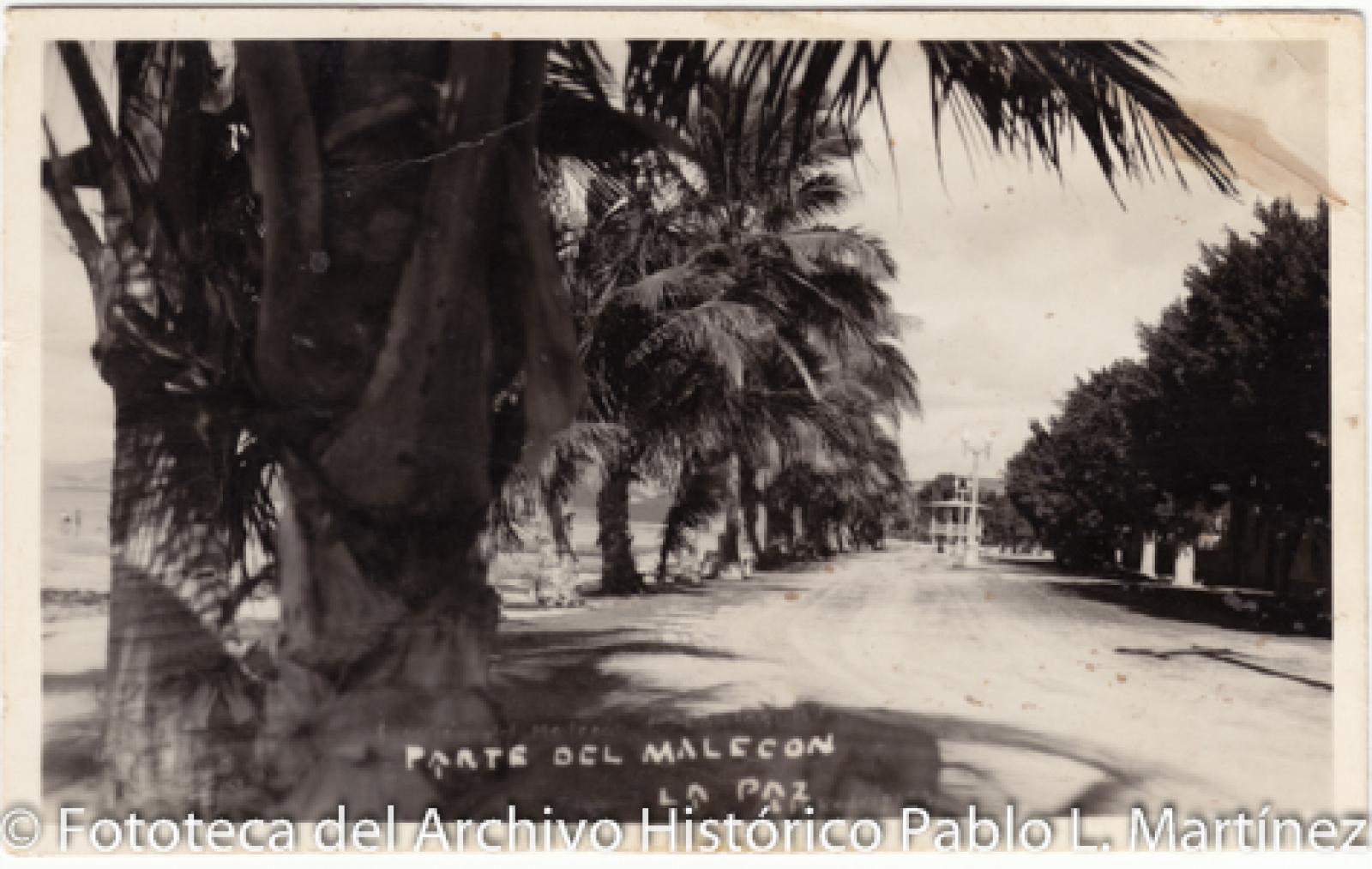 Parte del malecón, La Paz.