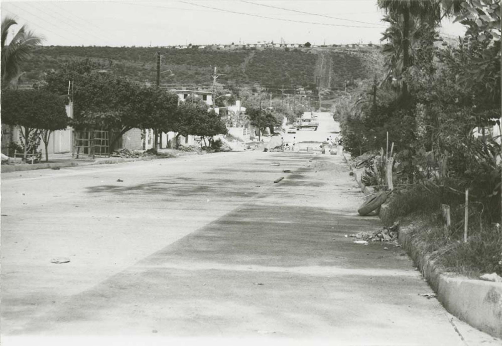 Pavimentación de calle.