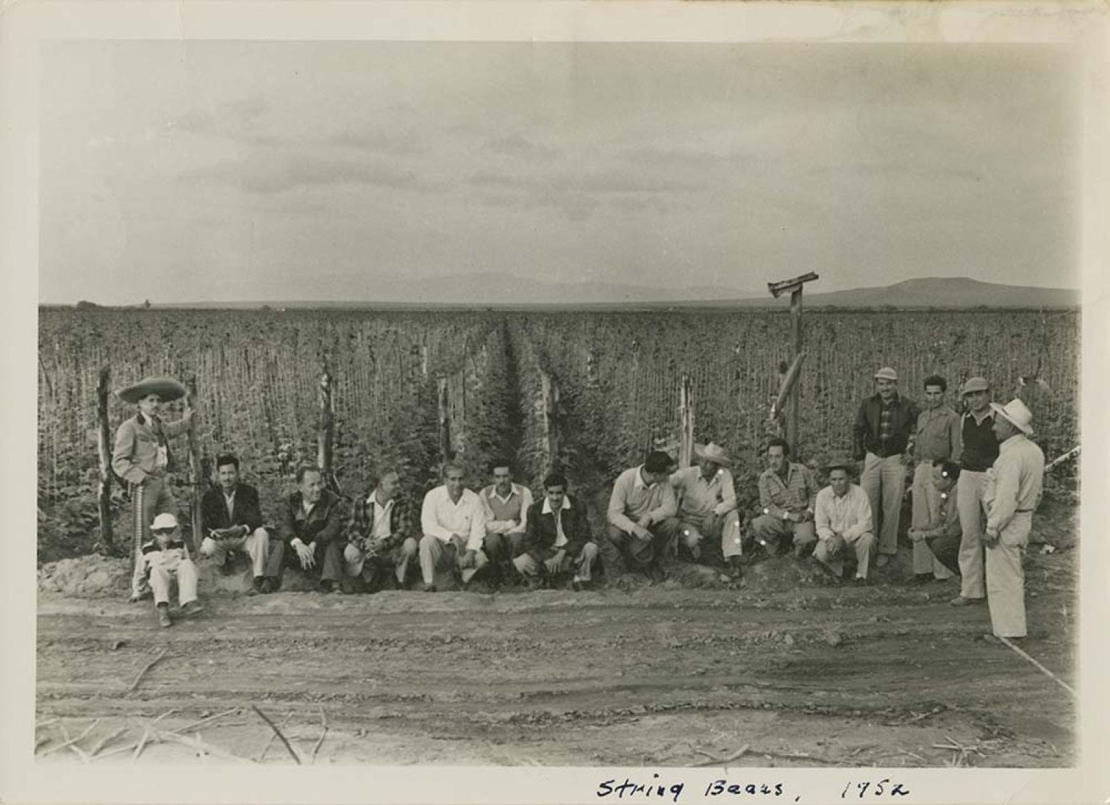 Retrato de grupo, en campo de cultivo.